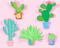 Cactus icon