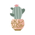 Cactus icon flat style, Home plant cactus in pot Royalty Free Stock Photo