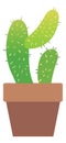 Cactus icon. Green house decoration. Exotic plant in pot Royalty Free Stock Photo