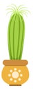 Cactus icon. Green house plant in decorative pot Royalty Free Stock Photo