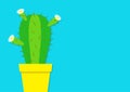 Cactus icon in the pot. White daisy chamomile flower. Desert prikly thorny spiny plant. Minimal flat design. Growing concept. Brig