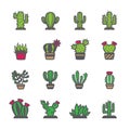 Cactus icon set