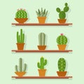 Cactus icon vector illustration in a flat style