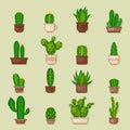 Cactus icons in a flat icon style on background. Home plants cactus in pots and with flowers. A variety of decorative