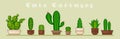 Cactus icons in a flat style on background. Home plants cactus in pots and with flowers. A variety of decorative cactus