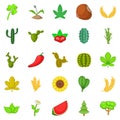 Cactus icons set, cartoon style