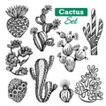 Cactus Icons Set Royalty Free Stock Photo