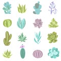 Cactus Icons Set Royalty Free Stock Photo