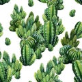 Seamless pattern with cacti watercolor.