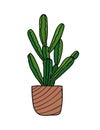 Cactus interior house plant in flower pot vector.