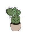 Cactus interior house plant in flower pot vector.