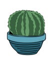 Cactus interior house plant in flower pot vector.