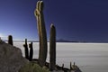 Cactus isla pescado Royalty Free Stock Photo