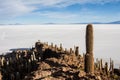 Cactus island in uyuni