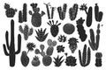 Cactus isolated black set icon. Vector illustration mexican cacti on white background. Vector black set icon cactus with Royalty Free Stock Photo