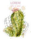 Cactus isolated watercolor. Summer exotic flower. Tropic collection painted styles