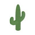 Cactus isometric 3d icon