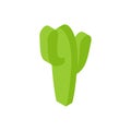 Cactus Isometric style isolated. Desert plant Vector Illustration