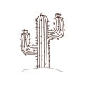 Cactus in landscape isolated icon Royalty Free Stock Photo