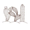 Cactus in landscape isolated icon Royalty Free Stock Photo