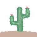 Cactus in landscape isolated icon Royalty Free Stock Photo