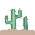 Cactus in landscape isolated icon Royalty Free Stock Photo