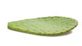 Cactus leaf