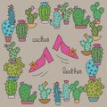 Cactus leather. Pink shoes surrounded by different Cactus plants on grey background.
