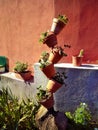 A cactus made by pots Royalty Free Stock Photo