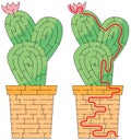 Cactus maze Royalty Free Stock Photo