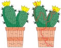 Cactus maze Royalty Free Stock Photo