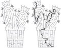 Cactus maze Royalty Free Stock Photo