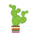 Cactus. Mexican froral, vector illustration. Cinco de Mayo.