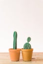 Cactus. Minimal creative stillife on wooden table and white background.