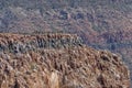 Cactus and mountains panorama Baja California Sur Rocks desert landscape view cortez sea Royalty Free Stock Photo