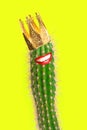Cactus neon yellow background Creative contemporary art collage