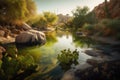 cactus oasis with cool spring water in the warm desert