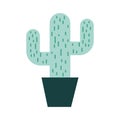 Cactus office plant isolated icon