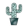 Cactus office plant isolated icon Royalty Free Stock Photo