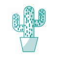 Cactus office plant isolated icon Royalty Free Stock Photo