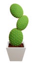 Cactus Opuntia microdasys picture. 3d rendering.