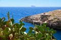 Cactus over water of Wied Zurrieq Fjord on south end of Malta is