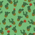 Cactus patern on a green background