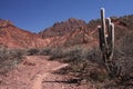 Cactus and Path in Quebrada Royalty Free Stock Photo