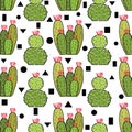 Cactus pattern with geometric Royalty Free Stock Photo