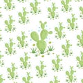 Cactus pattern seamless pattern on white background. vector design