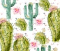 Cactus pattern Vector watercolor. Summer exotic texture. Tropic collection painted styles