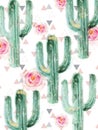 Cactus pattern Vector watercolor. Summer exotic texture. Tropic collection painted styles