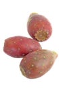 Cactus pears isolated Royalty Free Stock Photo
