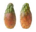 Cactus Pears Isolated with clipping path Royalty Free Stock Photo